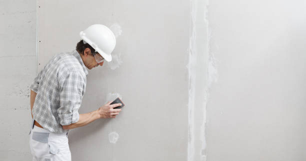 Professional Drywall & Painting Services in Casa De Oro Mount Helix, CA